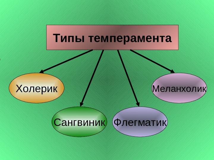 названия типов темперамента